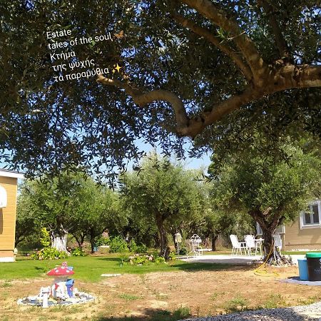 Bungalows With Private Pools "Tales Of The Soul - Της Ψυχής Τα Παραμύθια" Anemochori Экстерьер фото