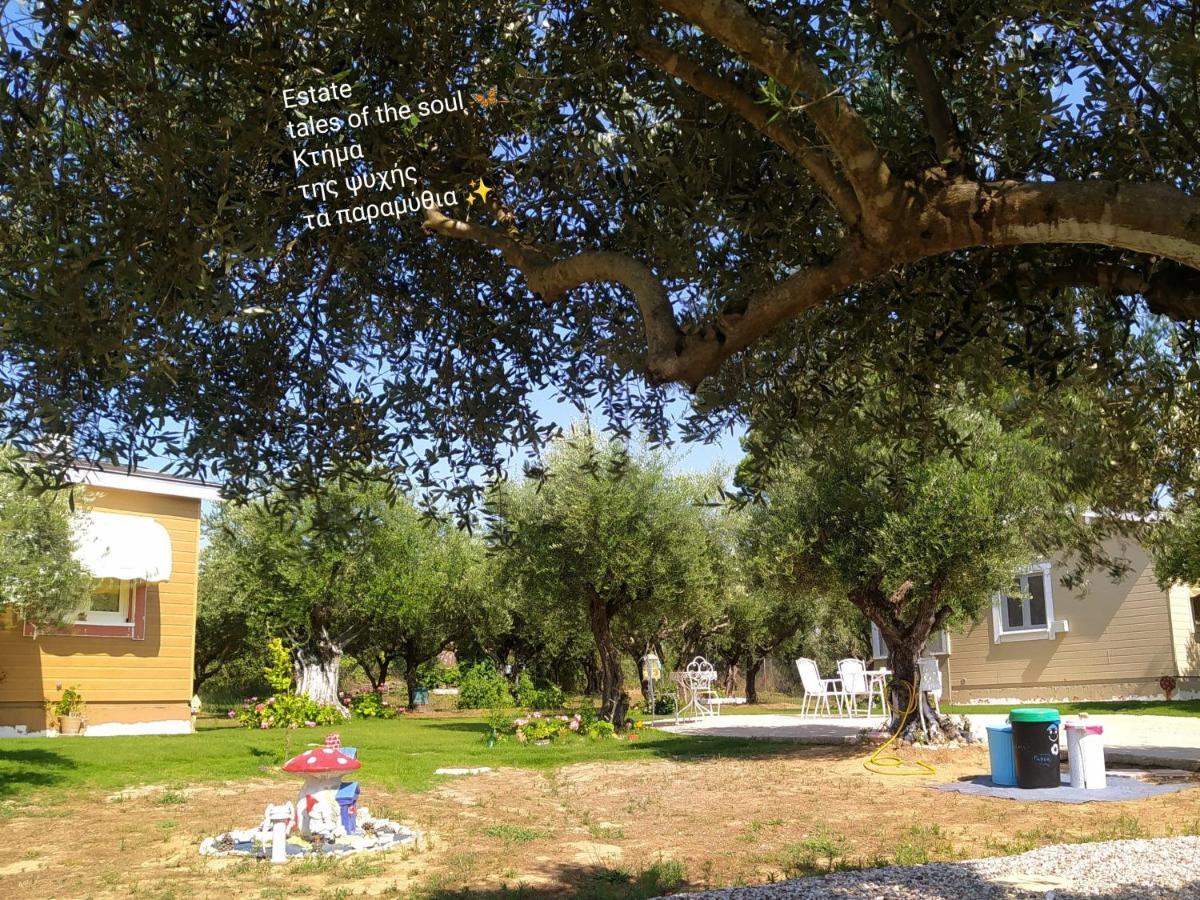 Bungalows With Private Pools "Tales Of The Soul - Της Ψυχής Τα Παραμύθια" Anemochori Экстерьер фото